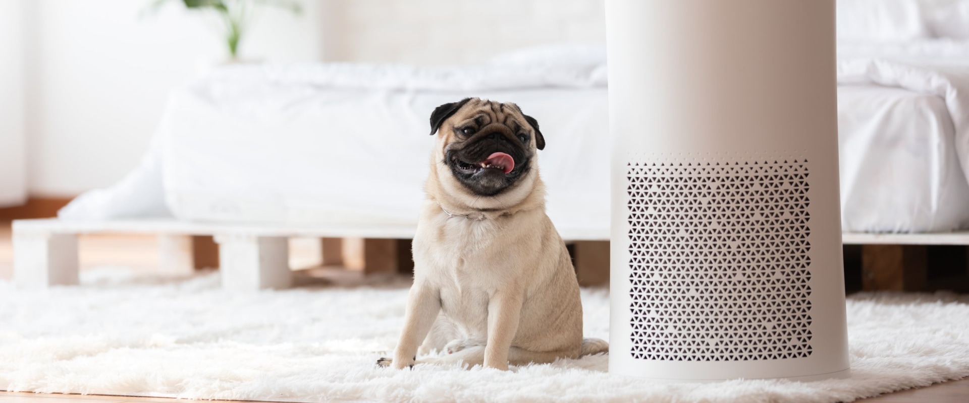 Best Home HVAC Air Filters for Allergies for Clean Air