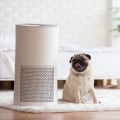 Best Home HVAC Air Filters for Allergies for Clean Air